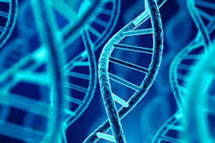 Who Is a Good Candidate for Regenerative Medicine?