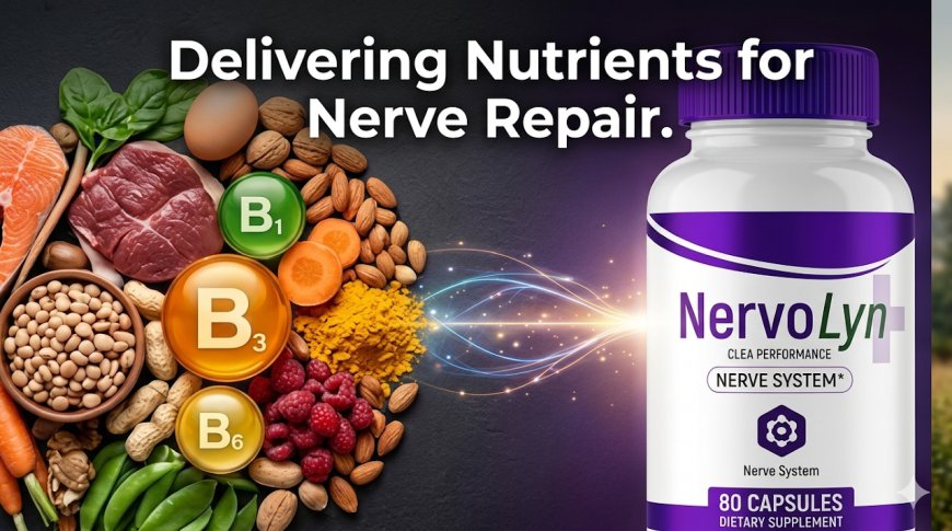 NervoLyn Review 2026: Natural Nerve Support & Energy Booster Supplement