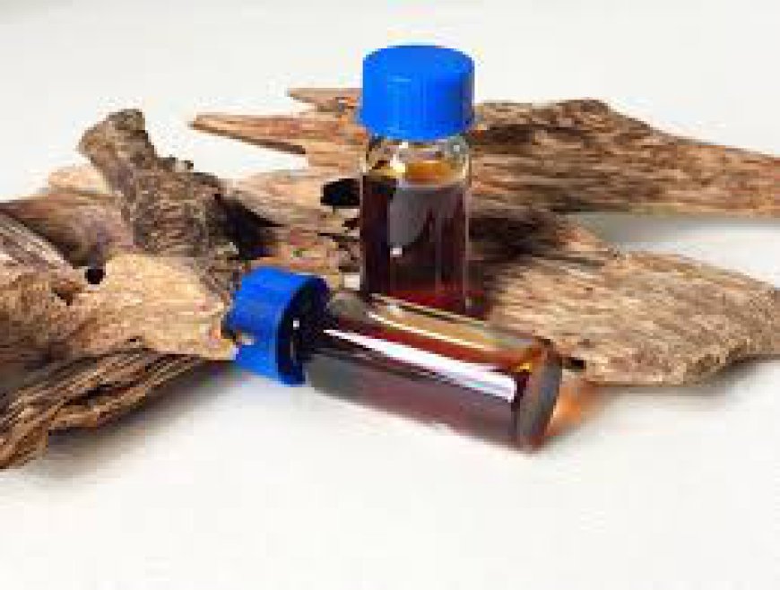 Premium Agarwood Supplier Vietnam for Global Buyers