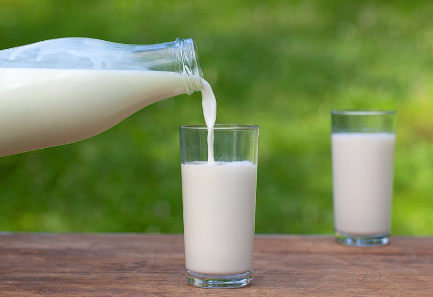 Buy A2 Cow Milk Dubai – Pure, Healthy & Farm-Fresh Nutrition