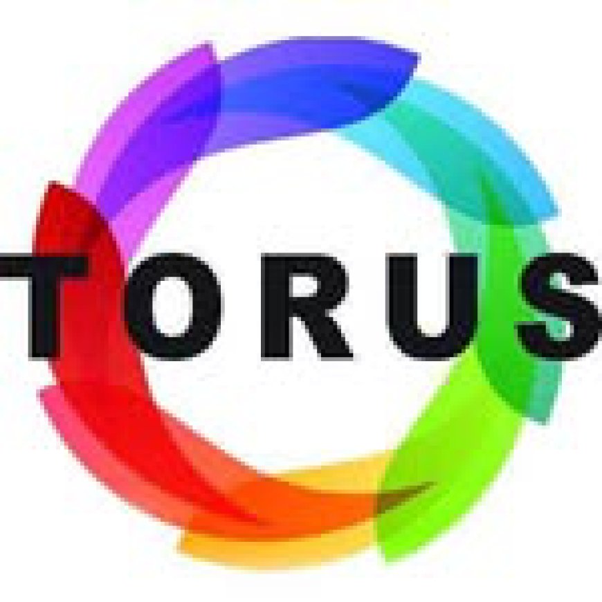 Best Cold Press Juicers & Slow Juicer Machines in Australia | Torus
