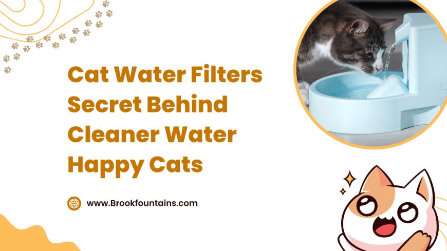 Cat Water Filters Secret Behind Cleaner Water Happy Cats