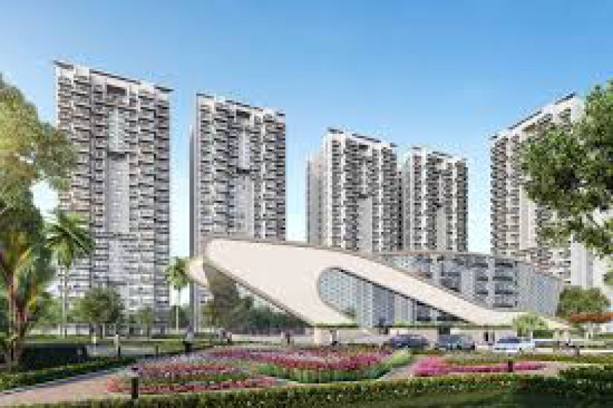 Long-Term Capital Performance and Resale Dynamics: Godrej Nature Plus