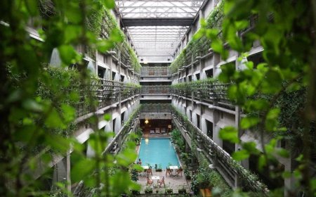 Presupuesto de Jardín Vertical: Todo lo que Debes Saber Antes de Invertir en un Espacio Verde Vertical