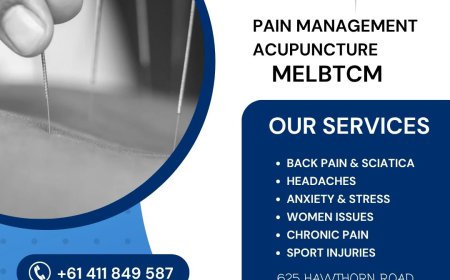 Expert Doctor of Traditional Chinese Medicine Bayside Melbourne