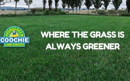 Professional Lawn Care Services in Strathpine 4500: Keep Your Lawn Healthy All Year Round