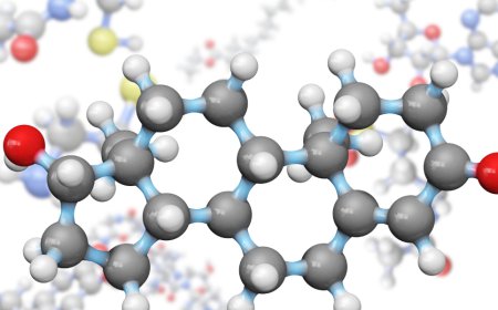 Low Testosterone, Thyroid Function, and Persistent Fatigue: What Research Suggests