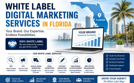 White Label Digital Marketing Services in Florida | The Smart Growth Solution for Modern Agencies