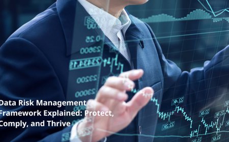 Data Risk Management Framework: Why Businesses Need More