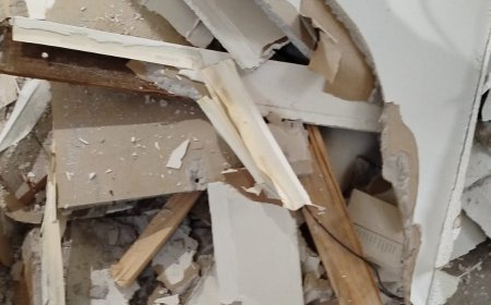 Junk Removal Services Company