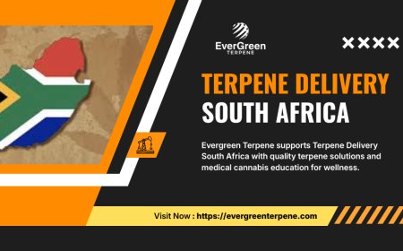 Terpene Delivery South Africa and the Science Behind Modern Cannabis Wellness | Evergreen Terpene