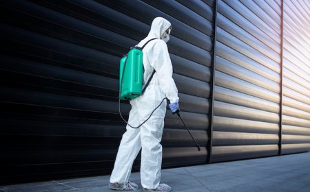 Certified Pest Control Services in Sainik Farm for Effective Pest Prevention