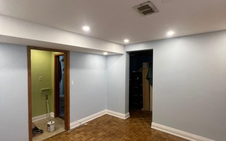 Honestus Painting & Home Improvement  | Professional Painting Service Tips for Better Home Value