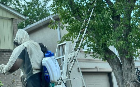PESTBYE PEST CONTROL | Pest Control service in Scarborough