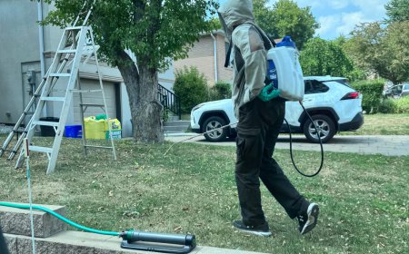 Pestbye Pest Control Canada | Smart Pest Control Service Tips for Safer Living