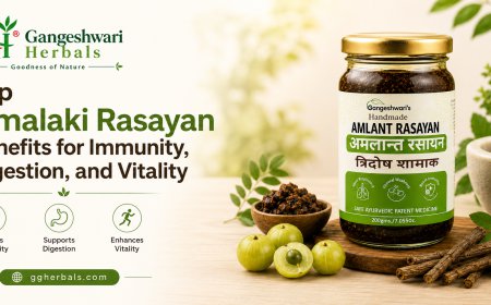 Top Amalaki Rasayan Benefits for Immunity, Digestion, and Vitality