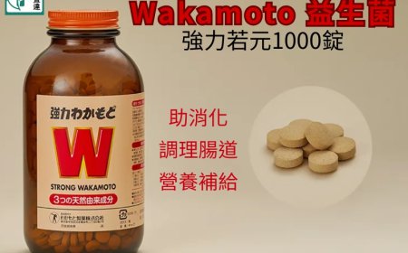 若元錠益生菌可以每天吃嗎？正確吃法與功效全解析