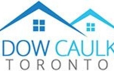 Top-Rated Window Caulking Services in Woodbridge