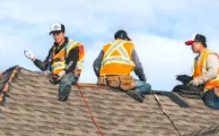 Roofing Company in Toronto | Repair & Installation Experts