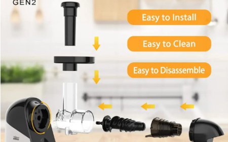 Best Cold Press Juicers & Slow Juicer Machines in Australia | Torus