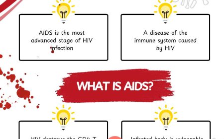 Taking Charge of Your Health: A Comprehensive Guide to HIV Prevention, STD Testing, and Male Fertility in Singapore