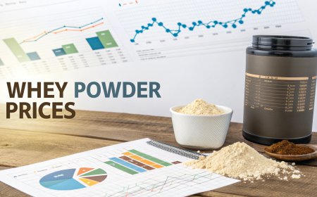 Whey Powder Price Index Chart with Trend Insights and Quarterly Forecast Prices