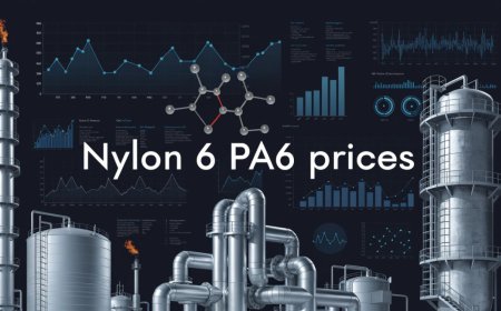 Nylon 6 Pa6 Prices Index Analysis with Quarterly Trend and Forecast Prices Chart