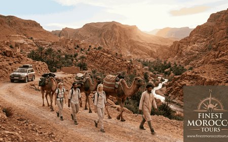 How to Choose Morocco Official Tours for a Truly Authentic Experience
