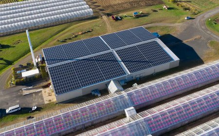 How Commercial Solar Installation Reduces Costs