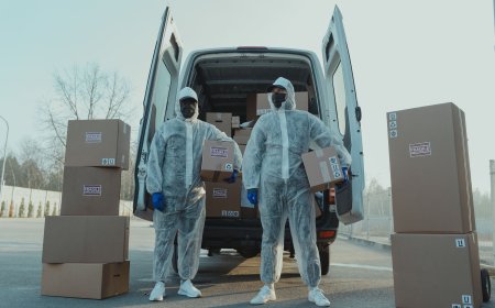 Fragile Item Handling: How House Removal Experts Protect Valuables and Antiques
