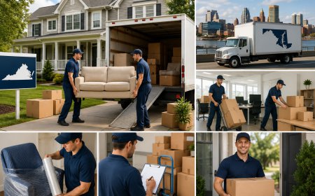 Homeowners Choose Movers in Virginia and a Moving Company in Maryland for Stress-Free Relocation