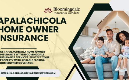Building Long-Term Home Security with Bloomingdale Insurance Services and Apalachicola Home Owner Insurance