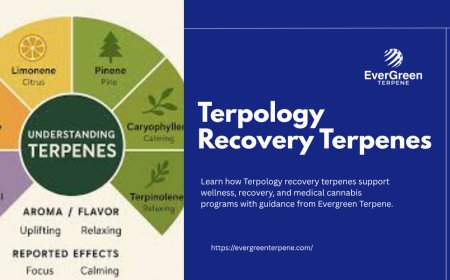 How Terpology Recovery Terpenes Support Modern Wellness and Recovery | Evergreen Terpene