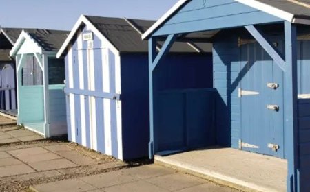 Rethinking Custom Sheds in Seattle, WA Through Long-Term Urban Design