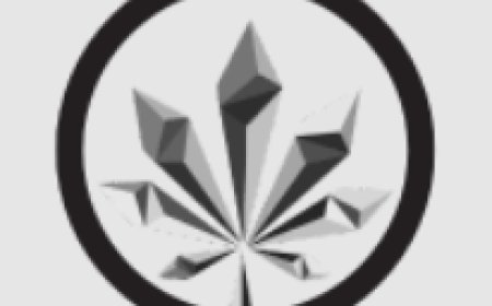 Cannabis Delivery Service: A Modern Way to Access Cannabis Products