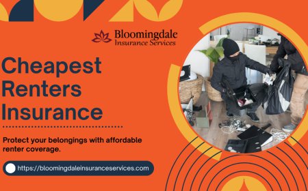Cheapest Renters Insurance Solutions by Bloomingdale Insurance Services