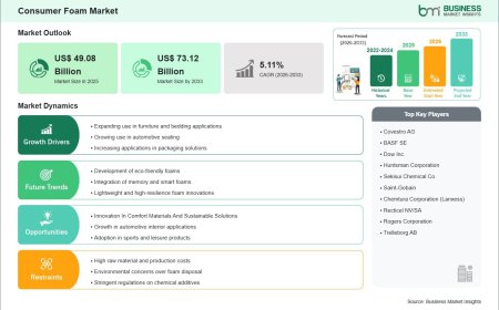 Consumer Foam Market on Track to Surpass US$ 73.12 Billion by 2033 Amid Growing Demand Across Furniture, Bedding, and Consumer Goods Applications