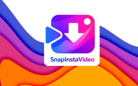 Download Instagram Reels Easily with SnapInsta Video Downloader
