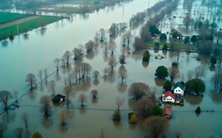 How to Choose Flood Insurance in Florida Without Making an Expensive Mistake