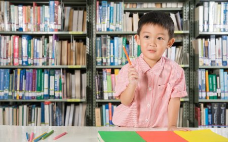Top Bilingual Chinese Classes in Forest Hill: A Smart Choice for Young Learners
