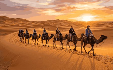 How to Plan Private Morocco Tours for a Truly Authentic Travel Escape