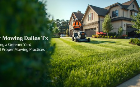 Lawn Mowing Dallas TX: Building a Greener Yard Through Proper Mowing Practices