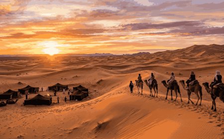 How to Find the Best Agence de Voyage Marrakech for Your 2026 Vacation