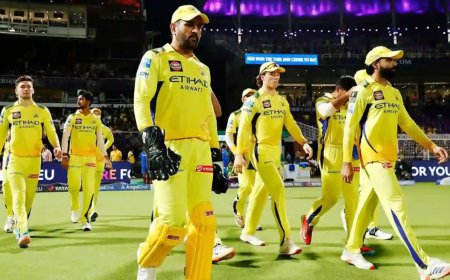 Understanding Cricket Exchange IDs Features, Benefits, and What Users Should Know