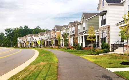Can a Pest Control Company Help Maintain a Healthier Living Environment?
