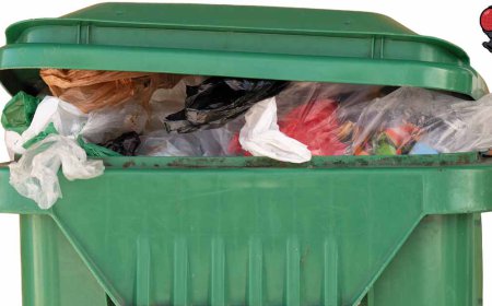 BrightBins: Professional Bin Cleaning Solutions for a Cleaner, Healthier USA