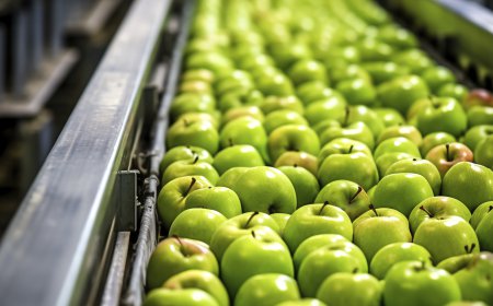 FDA Certification: Strengthening Food Safety, Compliance, and Consumer Trust for Food Processing Facilities