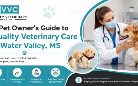 A Pet Owner's Guide to Quality Veterinary Care in Water Valley, MS
