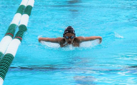What Should Beginners Know Before Taking Butterfly Stroke Lessons?