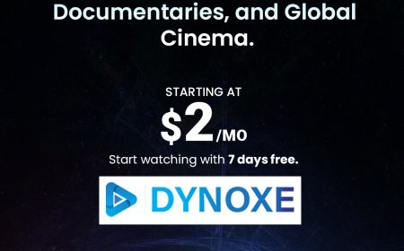 Online Streaming Platform for Movies & TV Shows | Dynoxe